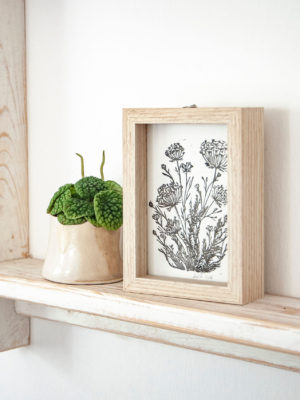 הדפס גזר קיפח במסגרת / S