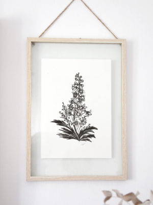 הדפס דלפיניום במסגרת / L