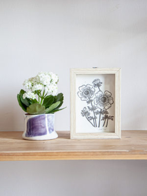 הדפס כלנית במסגרת / S